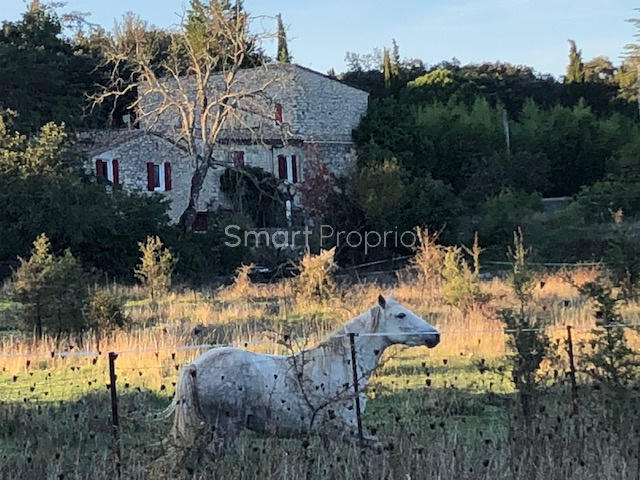 Mas - 750 m² - 20 pièces