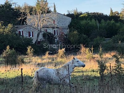 Mas - 750 m² - 20 pièces