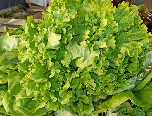 Saveurs O'Naturel - la Baule Lajarrige