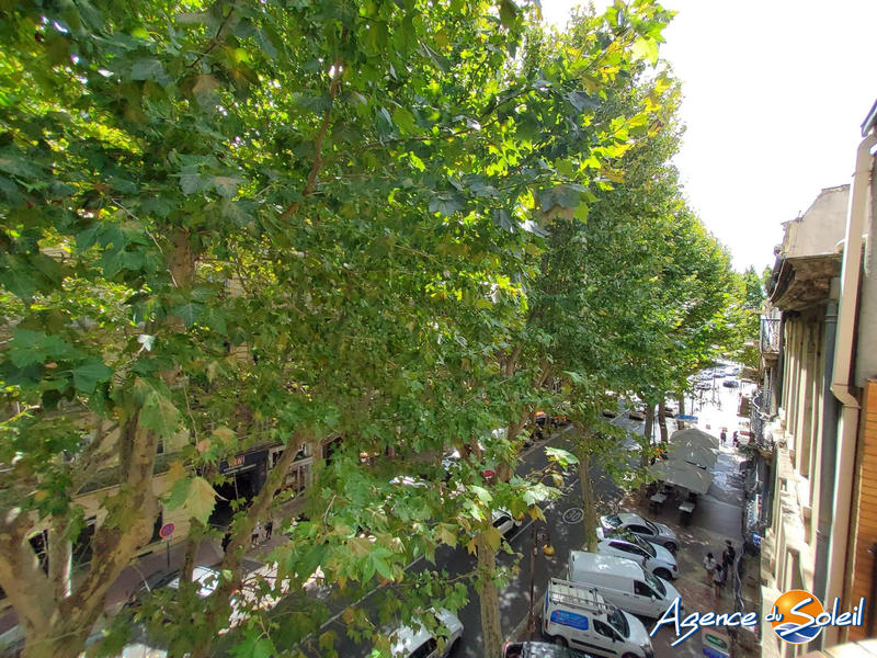 Appartement - 55 m² - 2 pièces