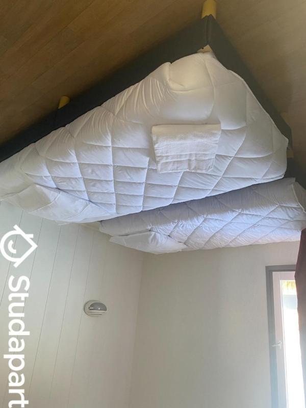 Chambre - 20 m² - 1 pièce