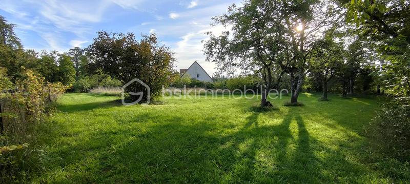 Terrain constructible - 3 149 m²