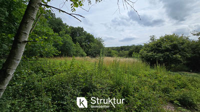 Terrain - 1 831 m²