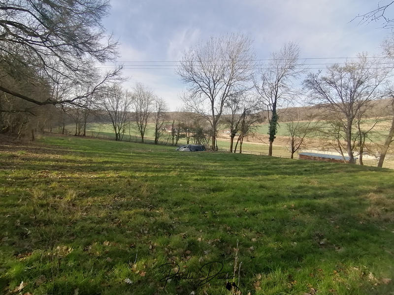 Terrain de loisirs - 5 903 m²