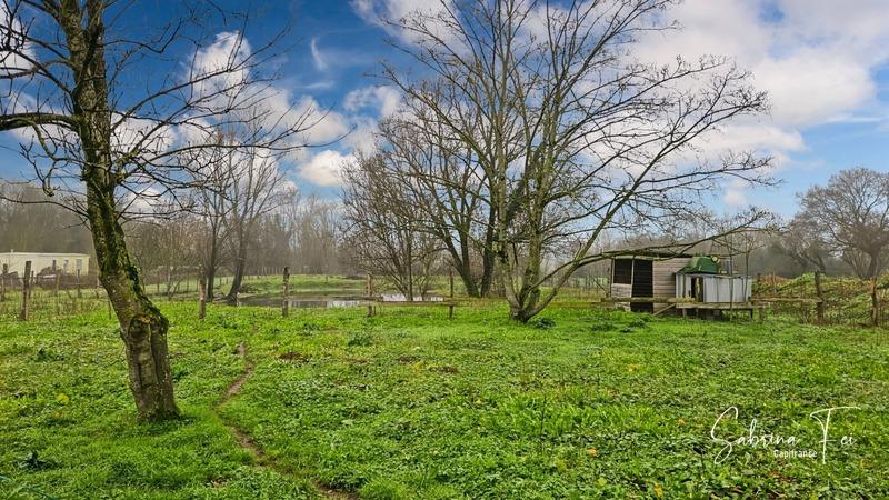 Longère - 193 m² - 7 pièces