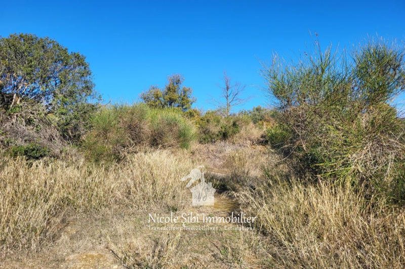 Terrain - 16 827 m²