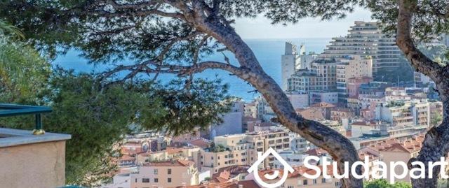 Appartement - 52 m² - 3 pièces