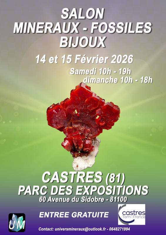 Salon minéraux, fossiles, bijoux de créateur.