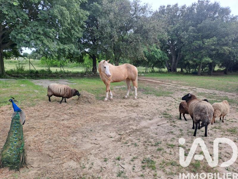 Maison - 83 m² - 4 pièces