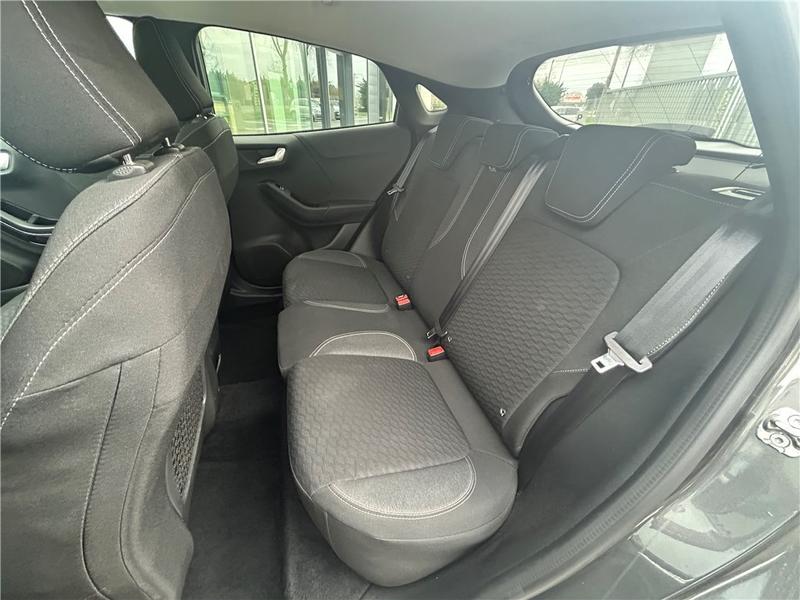 Ford Puma II 1.0 Flexifuel 125 Ch Mhev s&amp;S Bvm6 Titanium Business