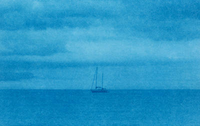 La Cours des Arts : Stage de Cyanotype