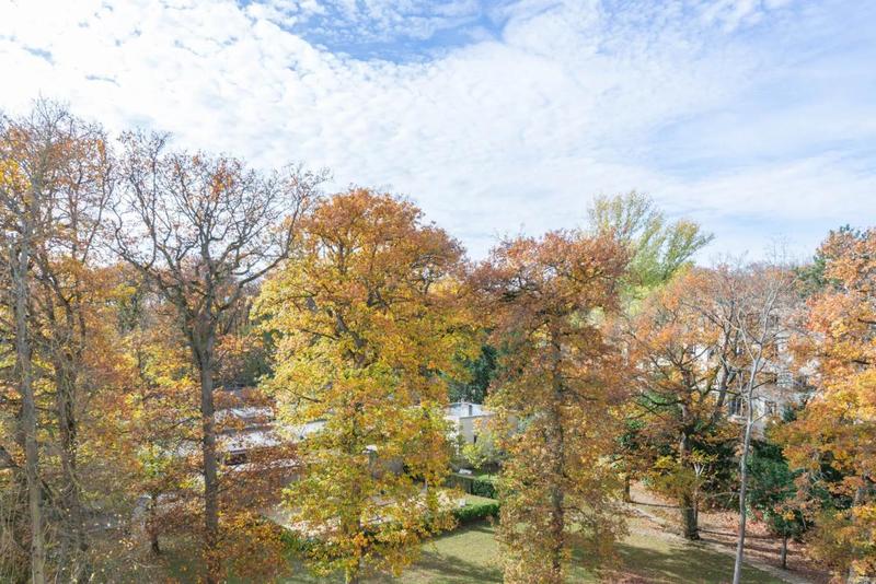 Appartement - 55 m² - 2 pièces