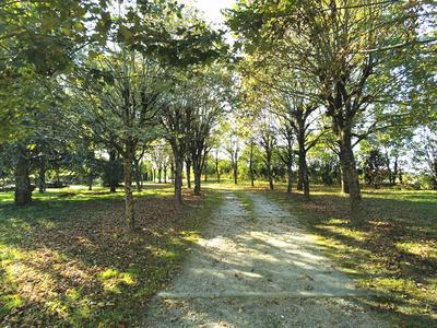 Maison - 267 m² - 6 pièces