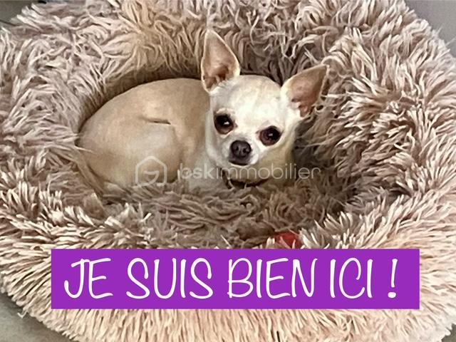 Maison - 147 m² - 5 pièces