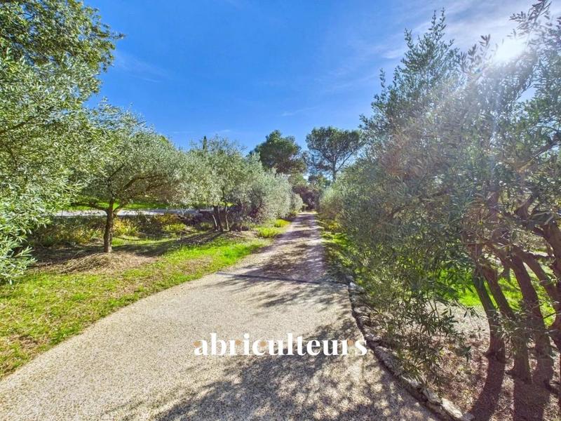 Maison ancienne - 155 m² - 5 pièces