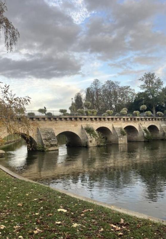 Studio - 24 m² - 1 pièce