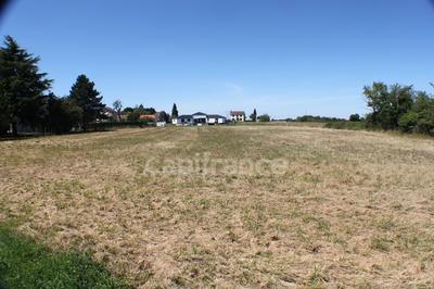 Terrain constructible - 3 553 m²