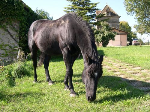 Gîte et Cuisine d Antan