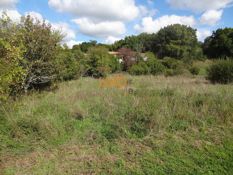 Terrain constructible - 1 567 m²