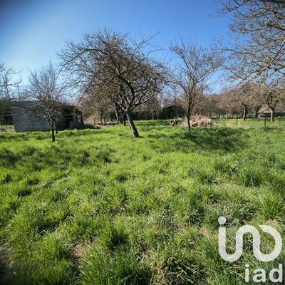 Maison - 360 m² - 3 pièces