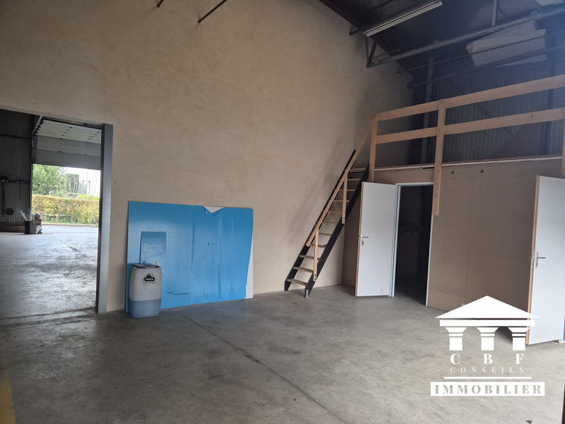 Local d'activités - 556 m² - 7 pièces