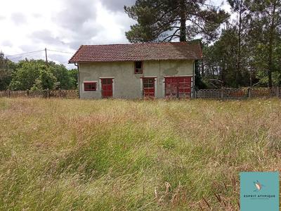 Maison traditionnelle - 195 m² - 11 pièces