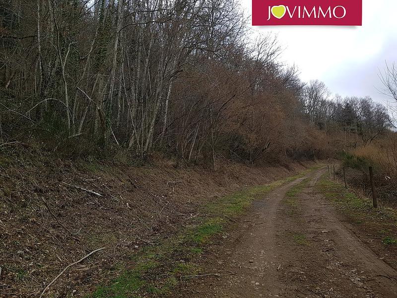 Terrain - 39 700 m²