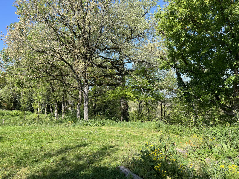 Maison - 154 m² - 5 pièces