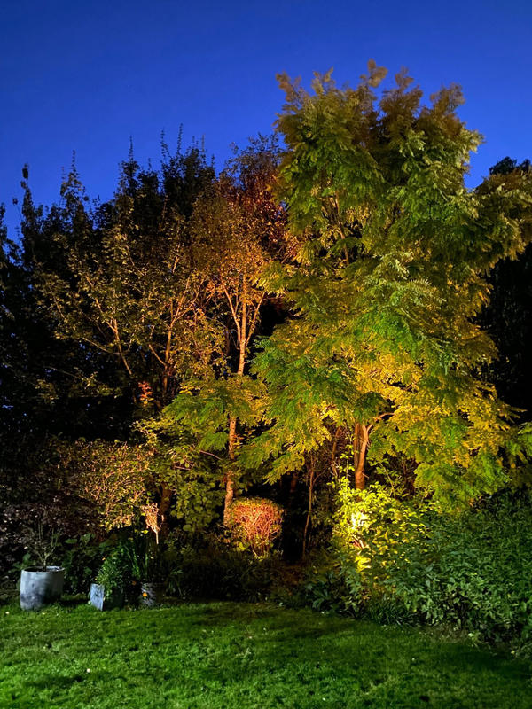 Maison contemporaine - 200 m² - 7 pièces