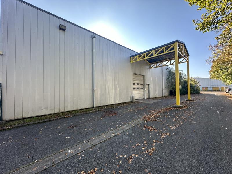 Local d'activités - 1 418 m² - 15 pièces