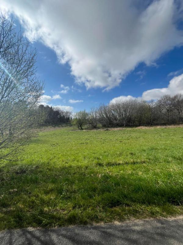 Terrain constructible - 2 543 m²