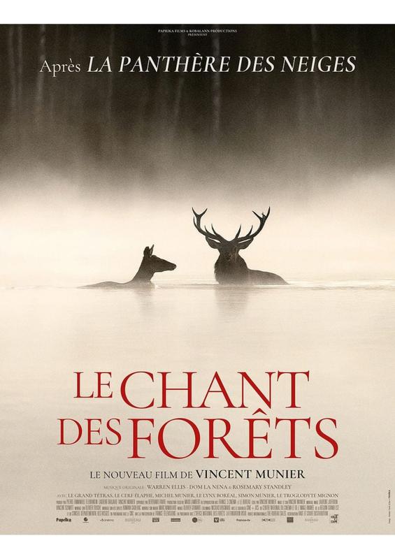 Séance de cinéma : le chant des forêts