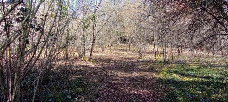 Maison - 123 m² - 5 pièces