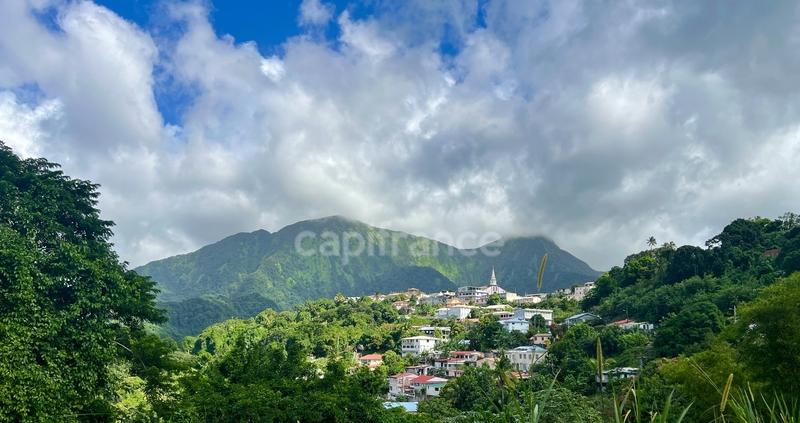 Maison - 239 m² - 9 pièces