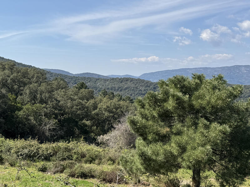 Maison - 330 m² - 6 pièces