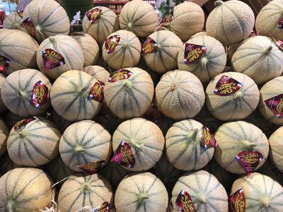 Maison Montarnal Primeurs