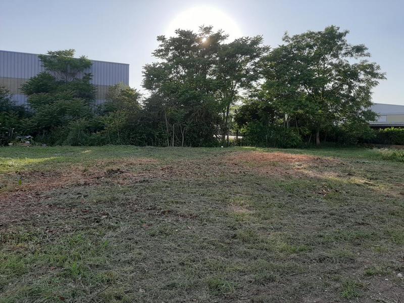 Terrain constructible - 300 m²