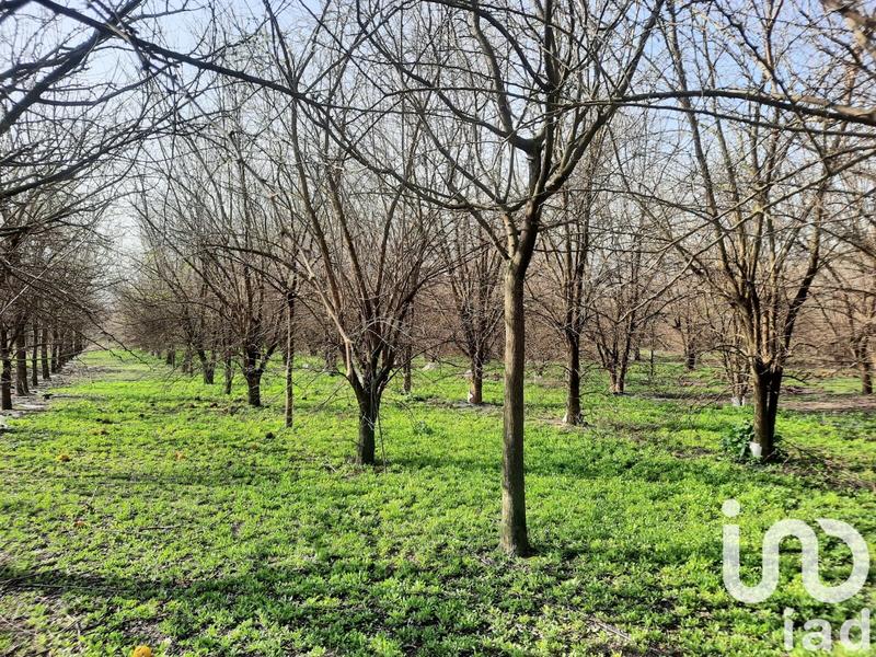 Terrain agricole - 16 110 m²