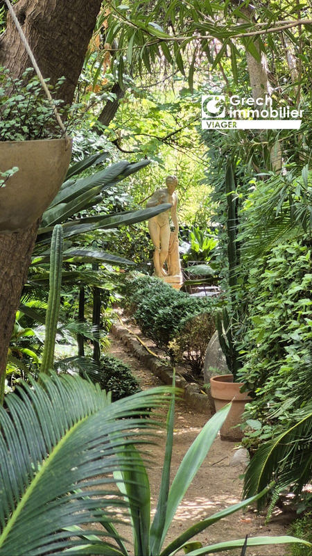 Viager - Maison - 224 m² - 6 pièces