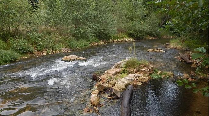 Concours de pêche et vide-grenier
