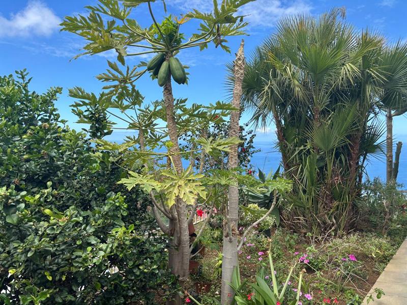 Villa - 120 m² - 3 pièces