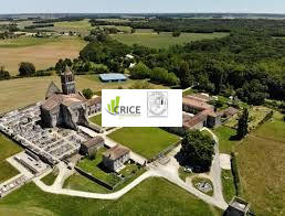 Local d'activités - 960 m²