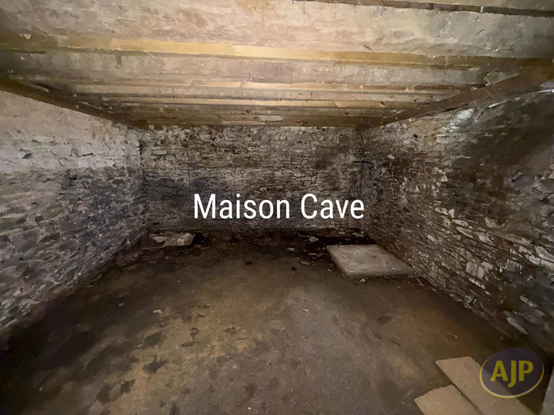 Maison - 225 m² - 10 pièces