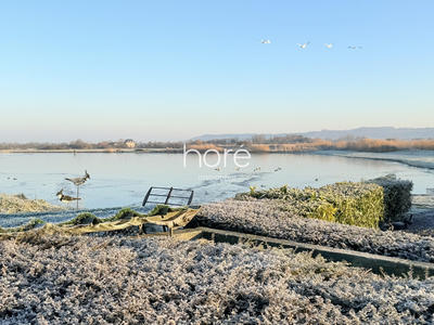 Terrain de loisirs - 87 559 m²