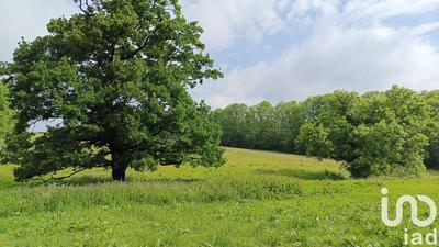 Maison - 327 m² - 11 pièces