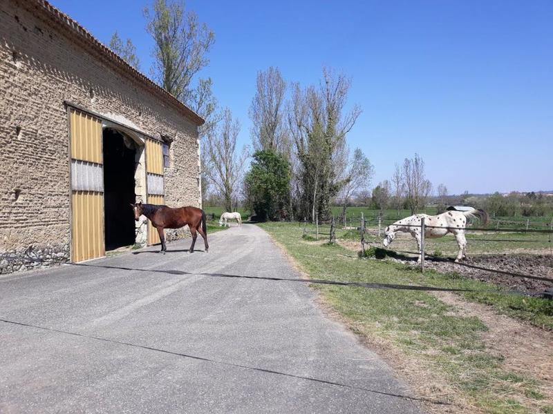 Corps de ferme - 205 m² - 6 pièces