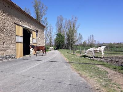 Corps de ferme - 205 m² - 6 pièces
