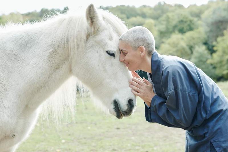 Journée d’immersion Bouddhiste au temple zen