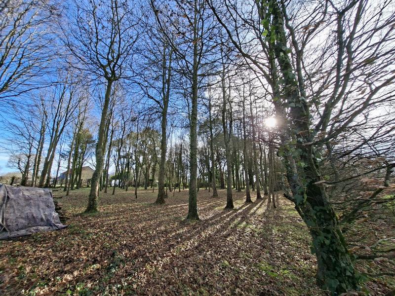 Maison traditionnelle - 144 m² - 6 pièces