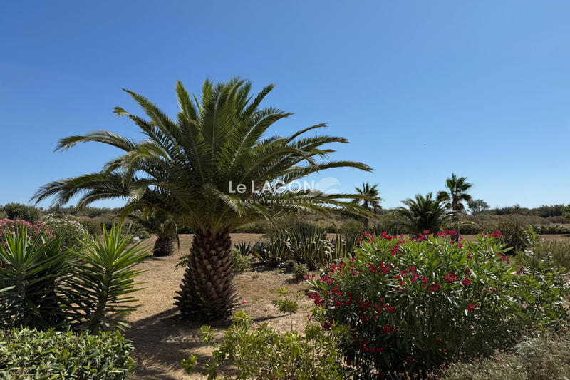 Appartement - 50 m² - 3 pièces